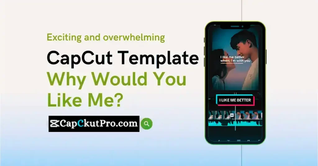 Why Would You Like Me CapCut Template