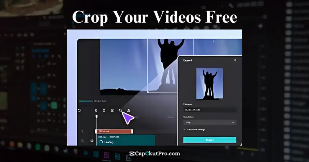 Video Cropper