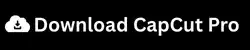 Download CapCut Pro